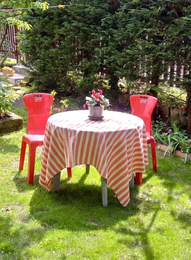 Bed And Breakfast Di Manu Taglio di Po Екстериор снимка